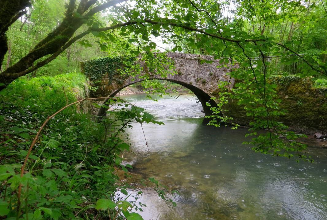Photo of Outdoor in Ceyzerieu