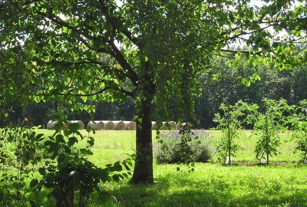 Photo of Outdoor in Druillat