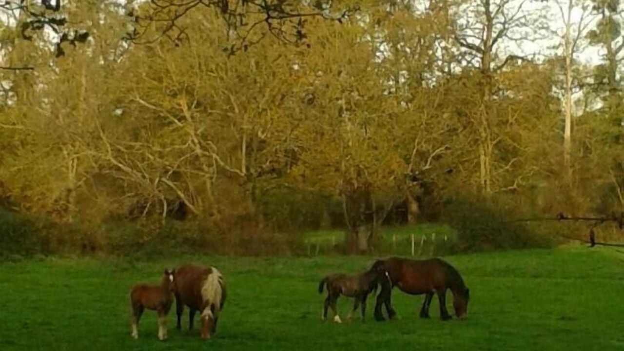 Photo of Outdoor in Saint-Jean-sur-Veyle