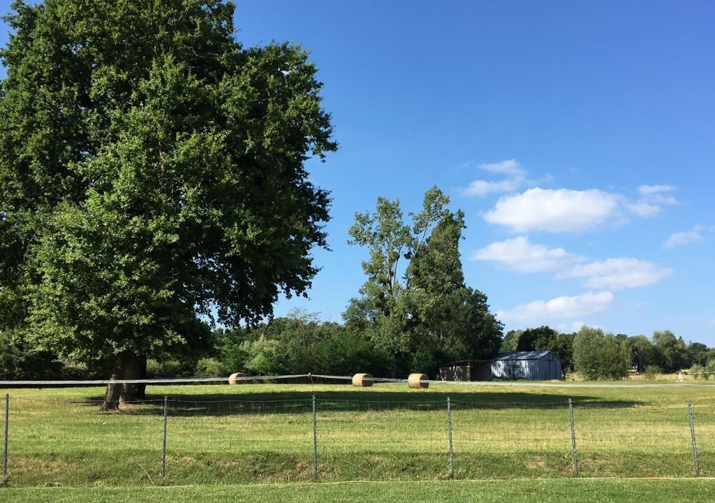 Photo of Others in Saint-Jean-sur-Veyle