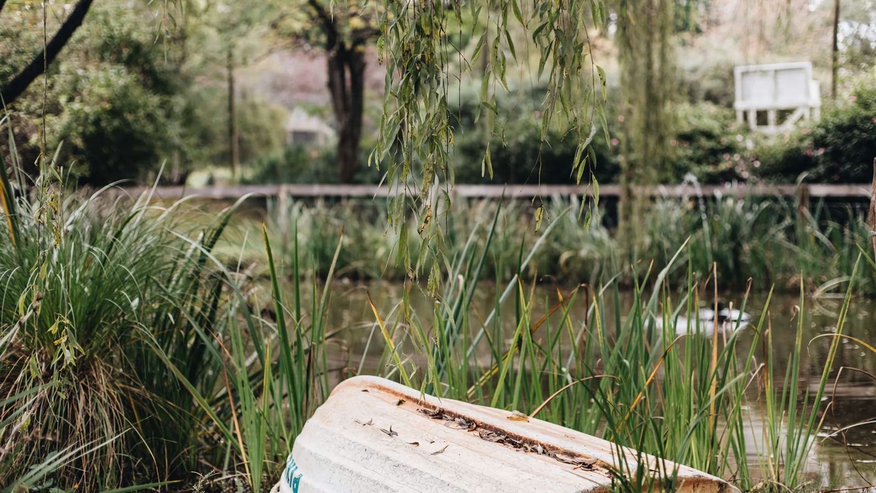 Photo of Outdoor in Berrima