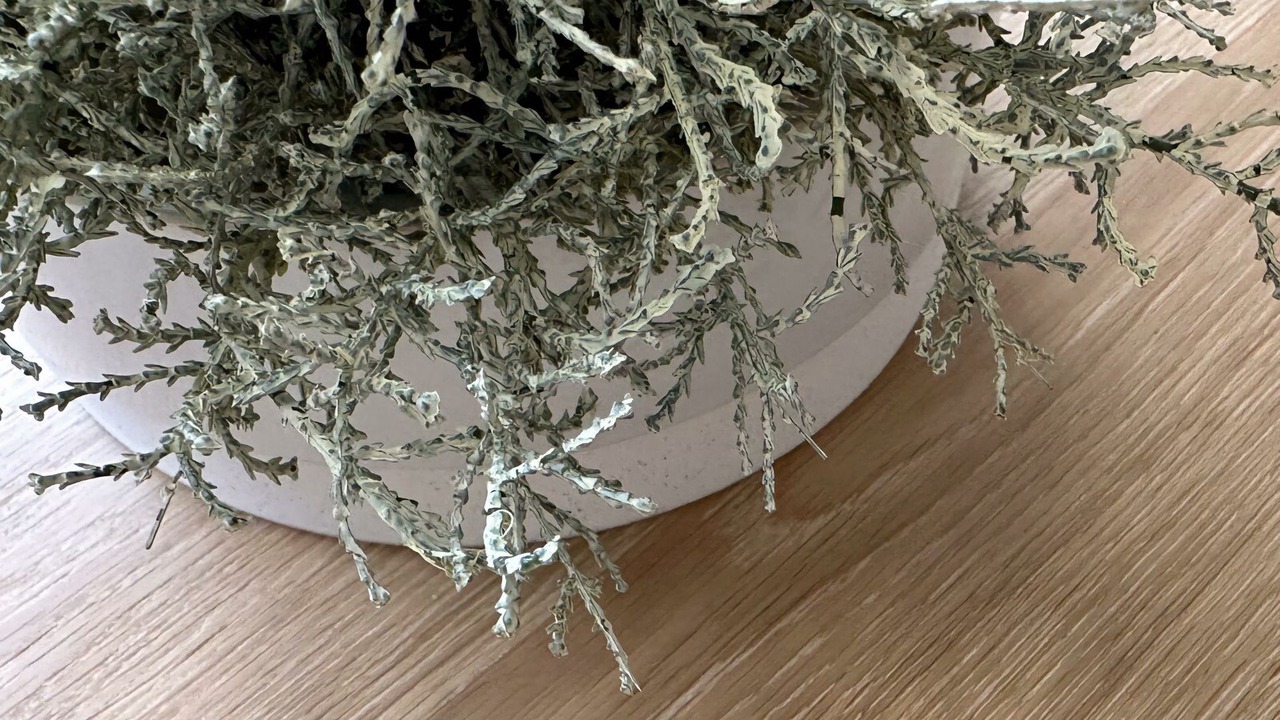 Photo of Others in Coogee