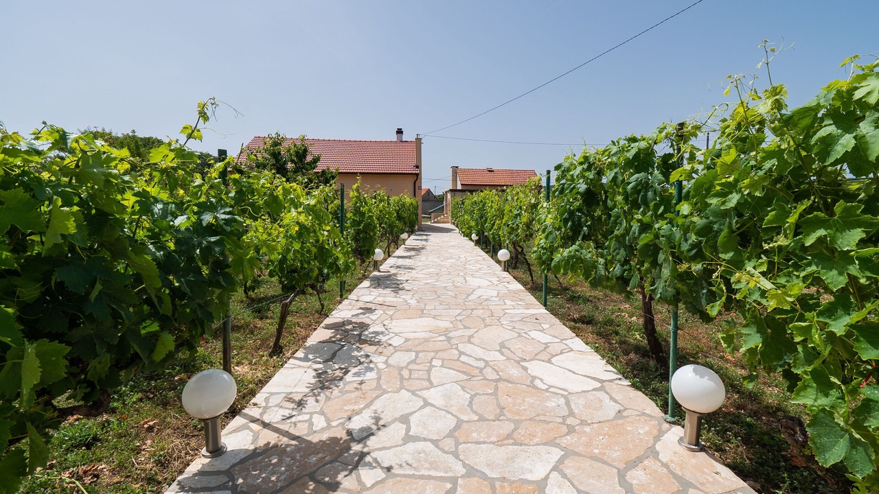 Photo of Outdoor in Unesic