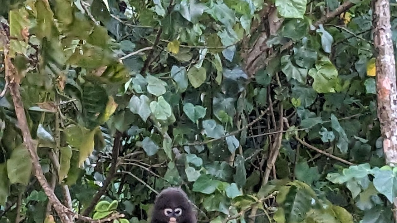 Photo of Outdoor in Kampung Pokok Asam