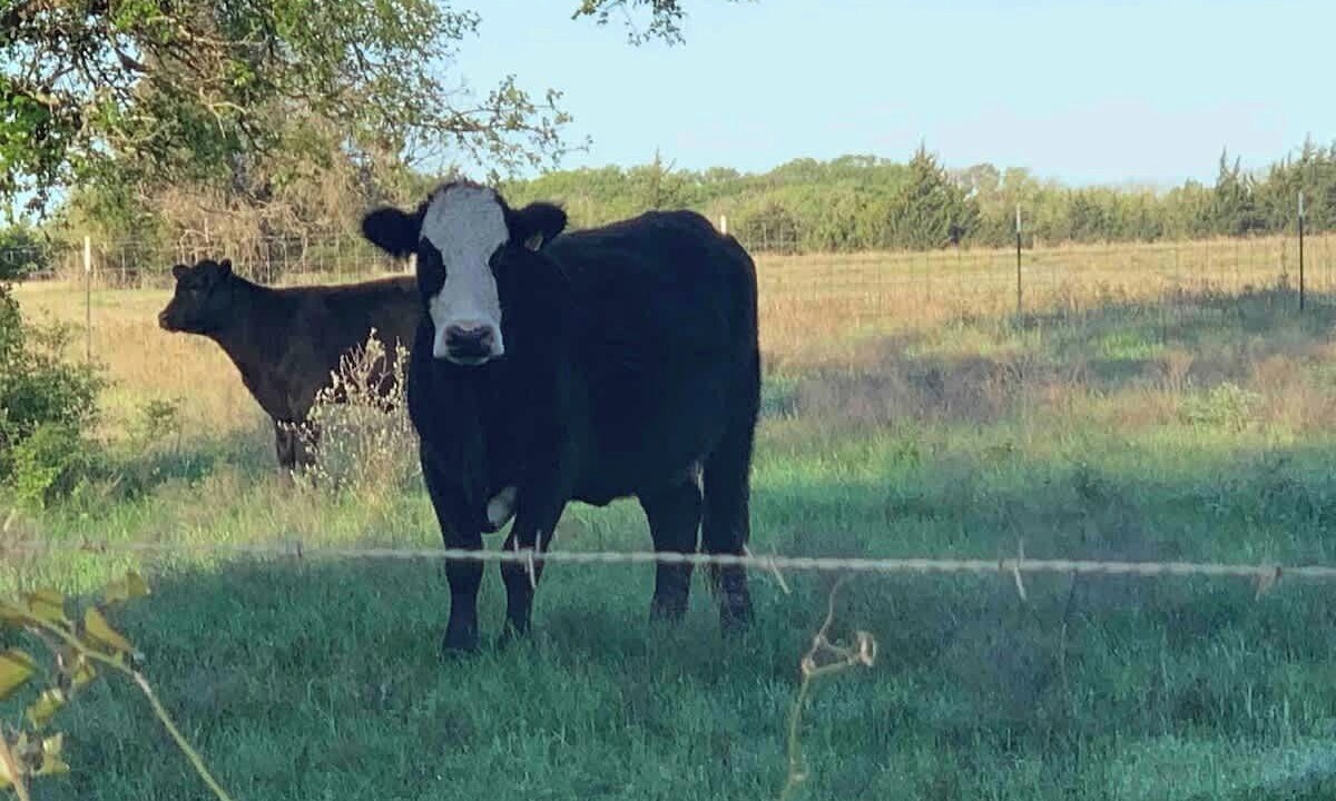 Photo of Others in Round Top