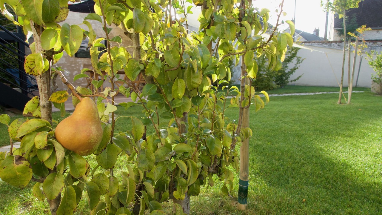 Photo of Outdoor in Meung-sur-Loire