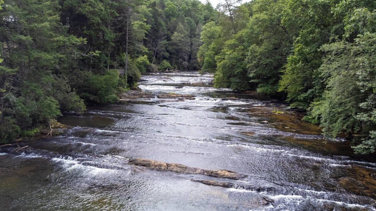 Photo of Others in Dahlonega
