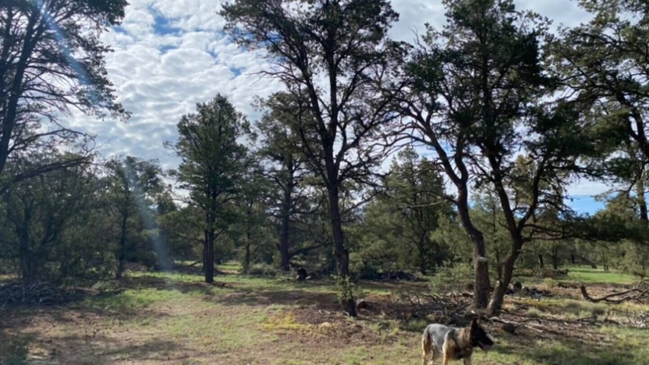 Photo of Others in Quemado