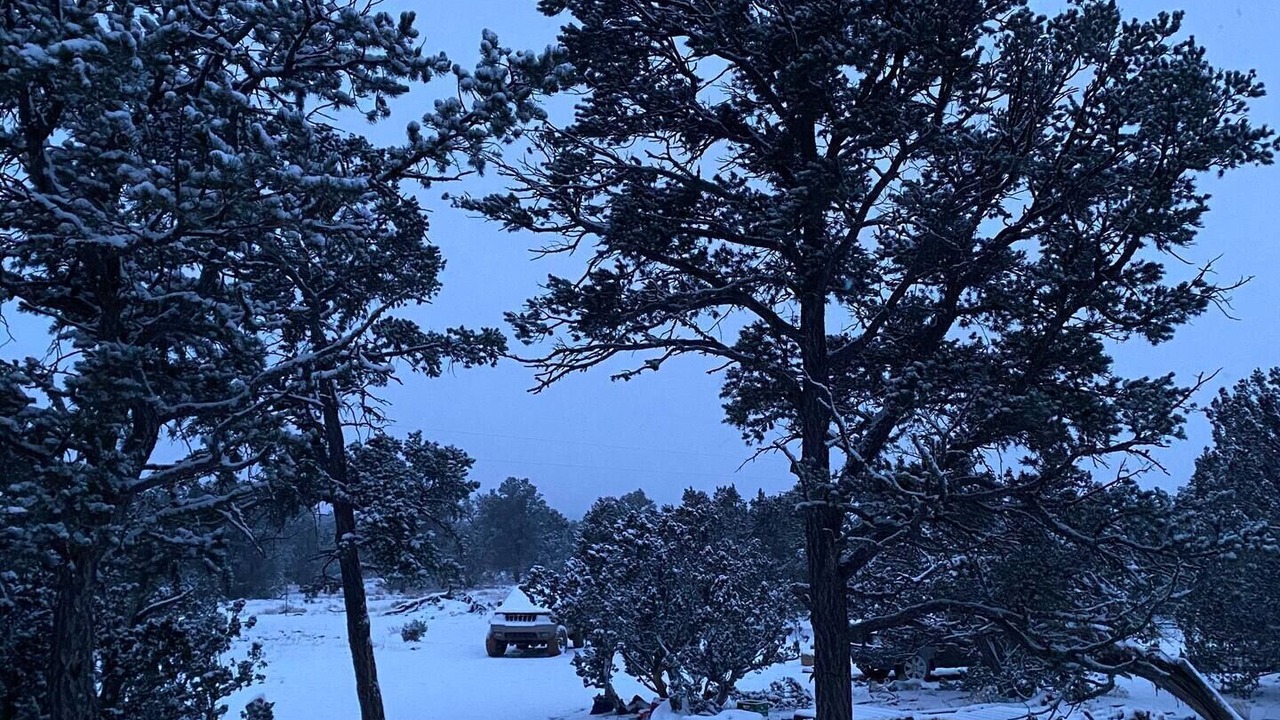 Photo of Others in Quemado
