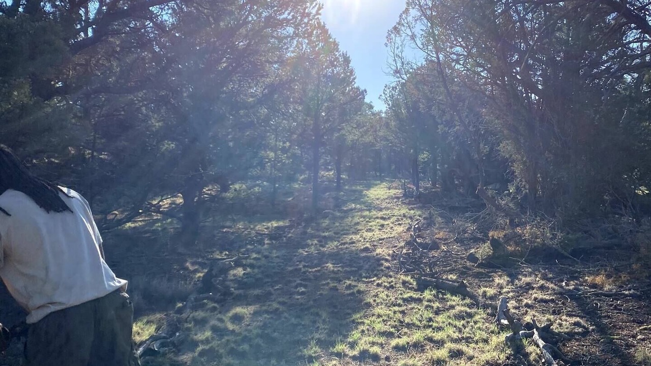 Photo of Others in Quemado