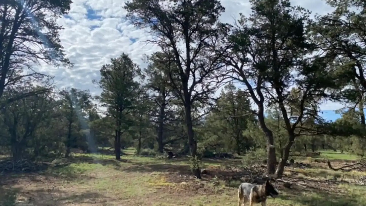 Photo of Others in Quemado
