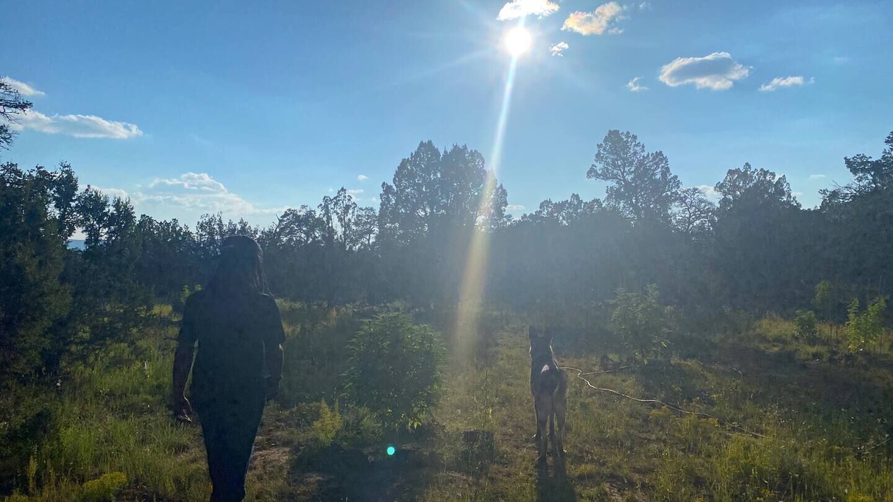 Photo of Others in Quemado