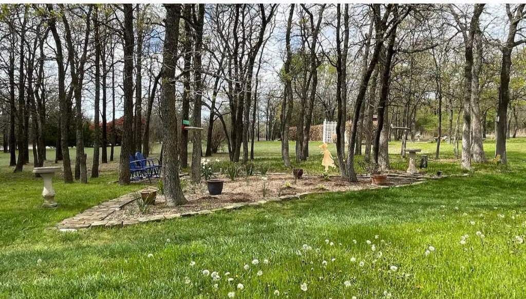 Photo of Outdoor in Paradise