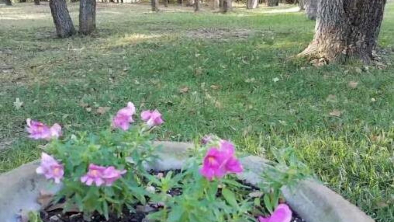 Photo of Outdoor in Paradise
