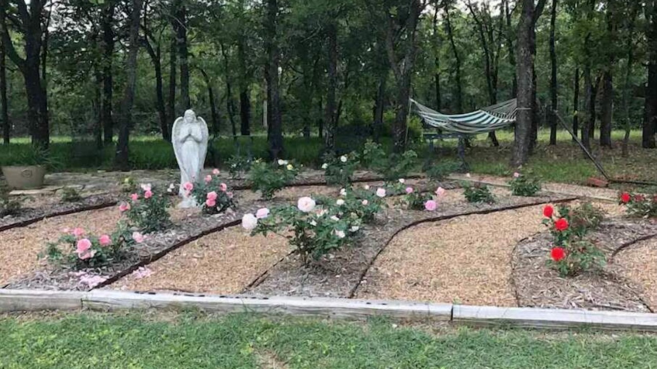 Photo of Outdoor in Paradise