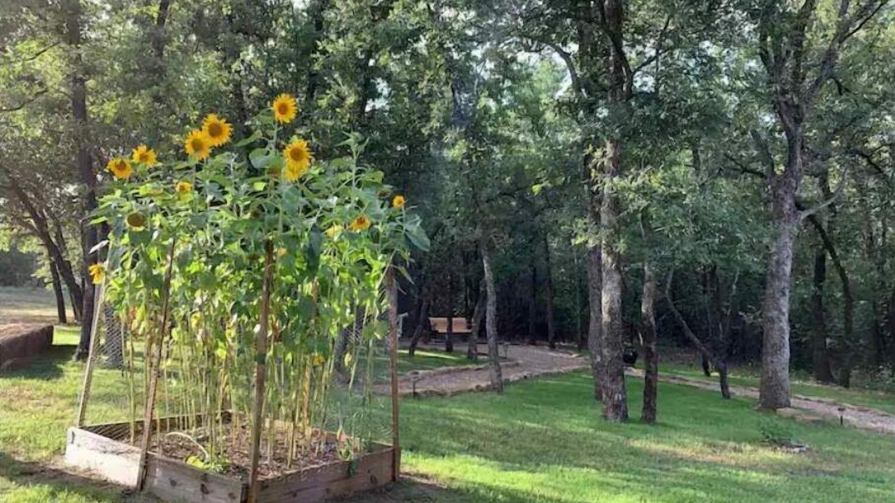 Photo of Outdoor in Paradise