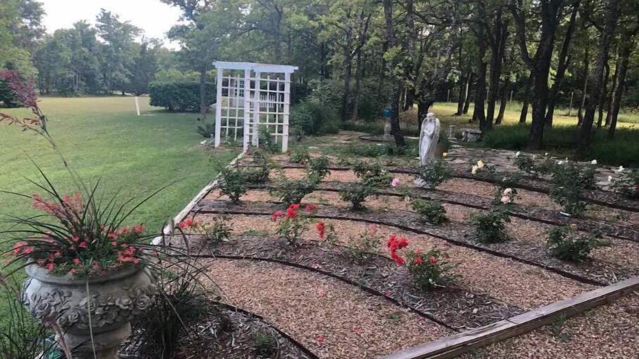 Photo of Outdoor in Paradise