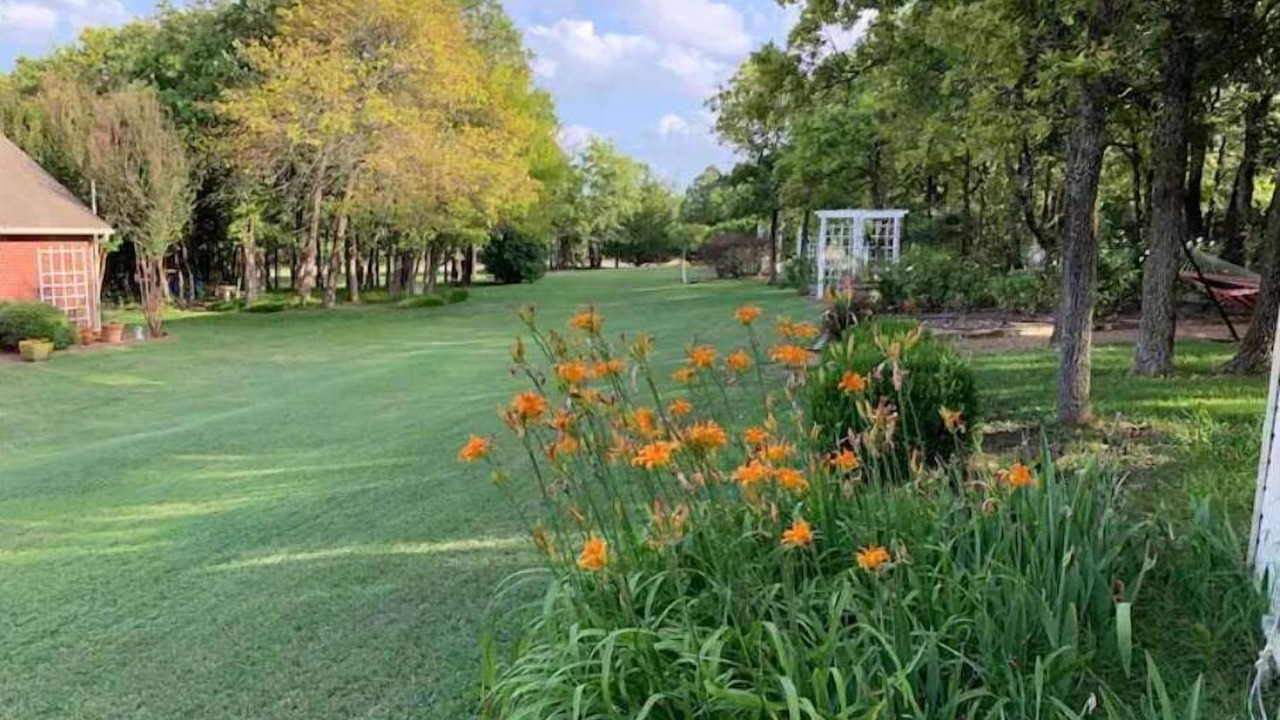 Photo of Outdoor in Paradise