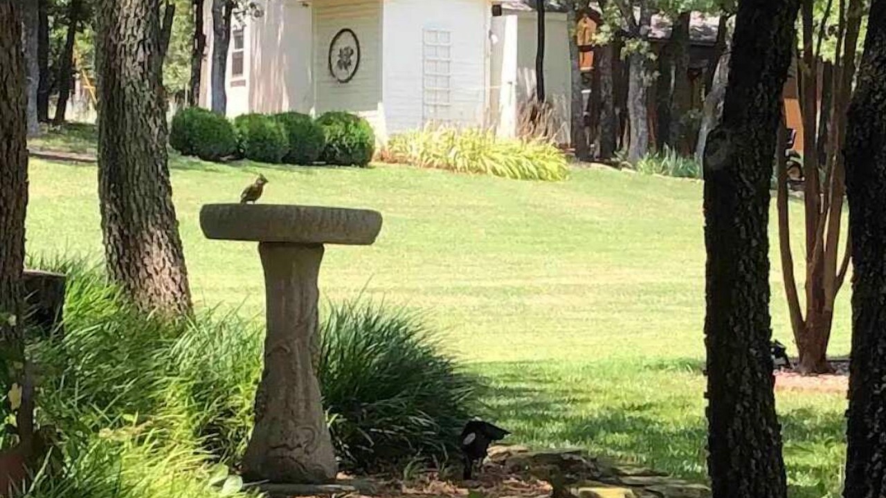 Photo of Outdoor in Paradise