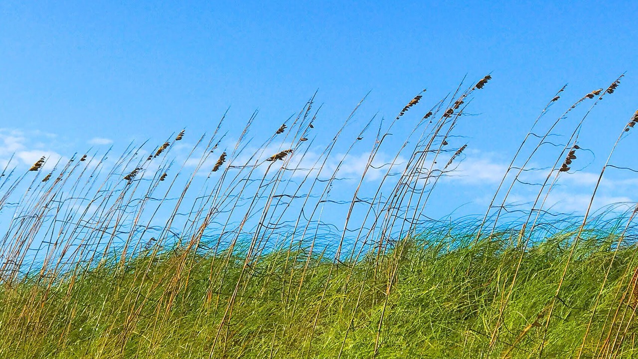 Photo of Outdoor in Atlantic Beach