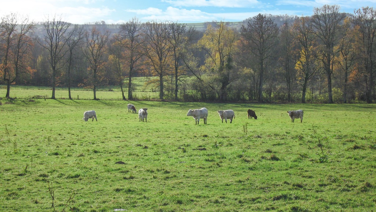 Photo of Others in Rubigny