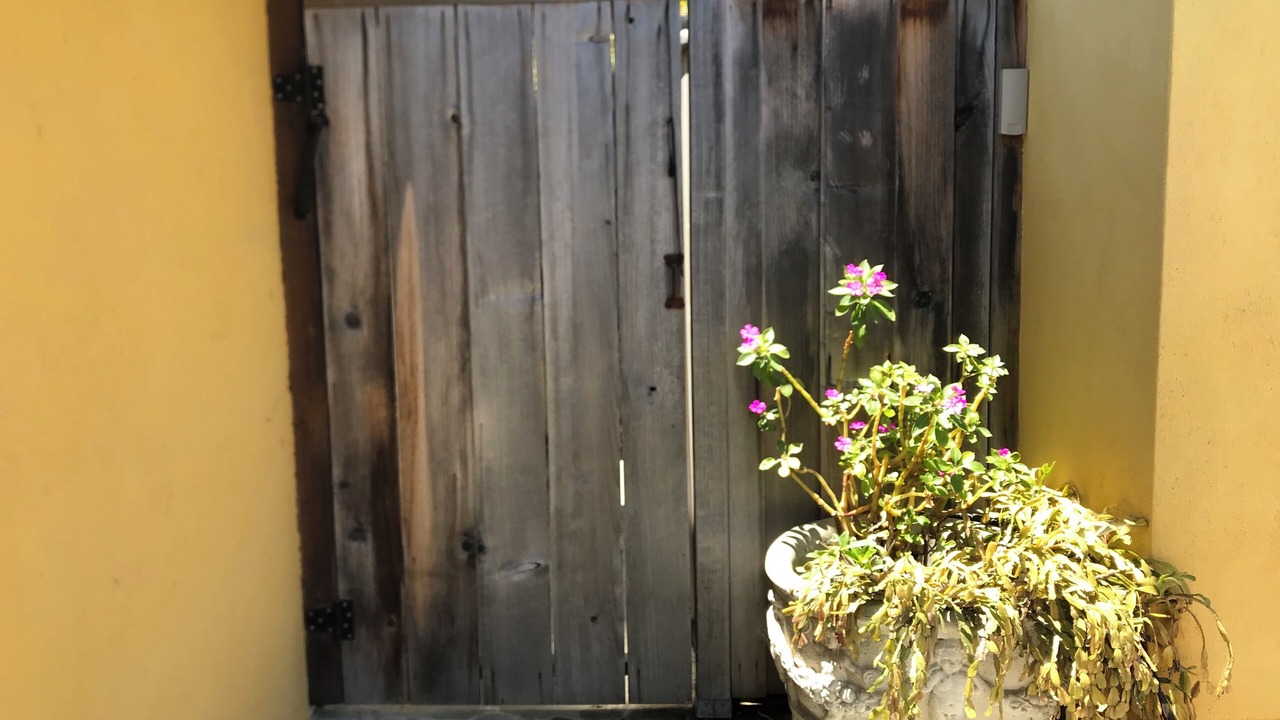 Photo of Outdoor in Upper Seabright