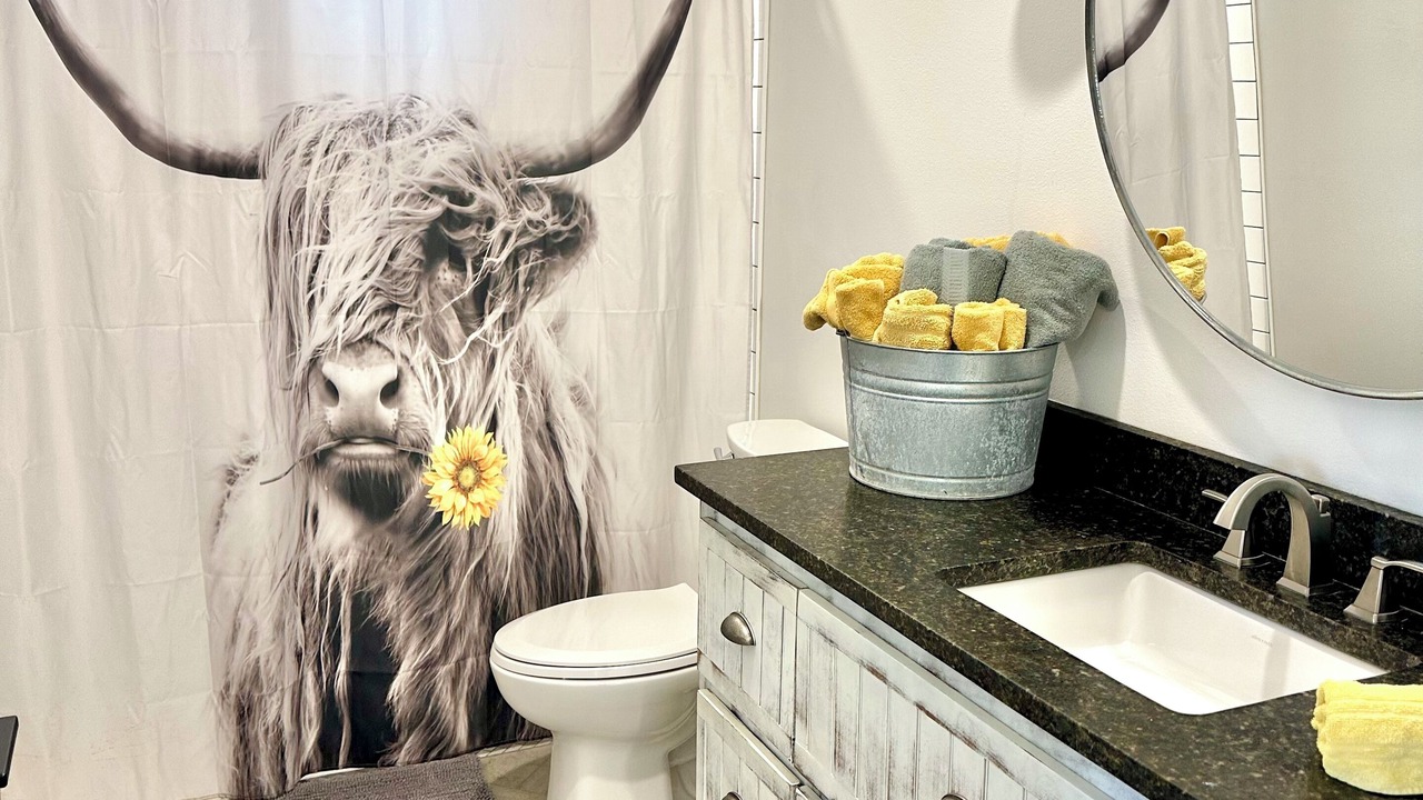 Photo of Bathroom in Dardanelle