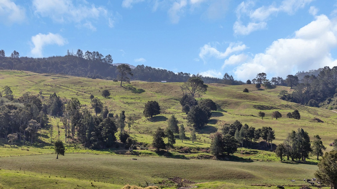 Photo of Bedroom in Maungakaramea