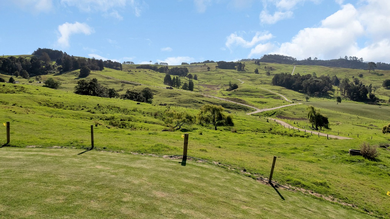 Photo of Others in Maungakaramea