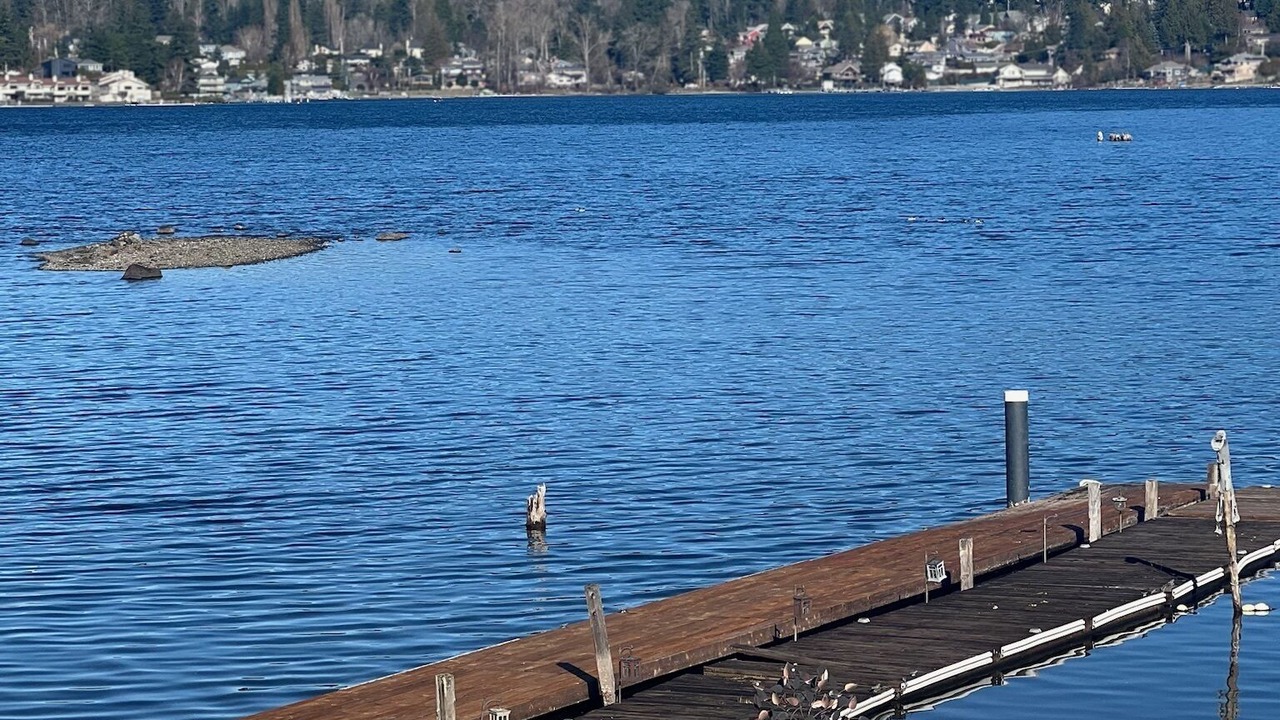 Photo of Outdoor in Silver Beach