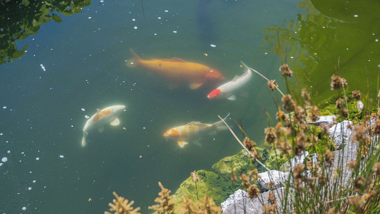 Photo of Outdoor in Liverton