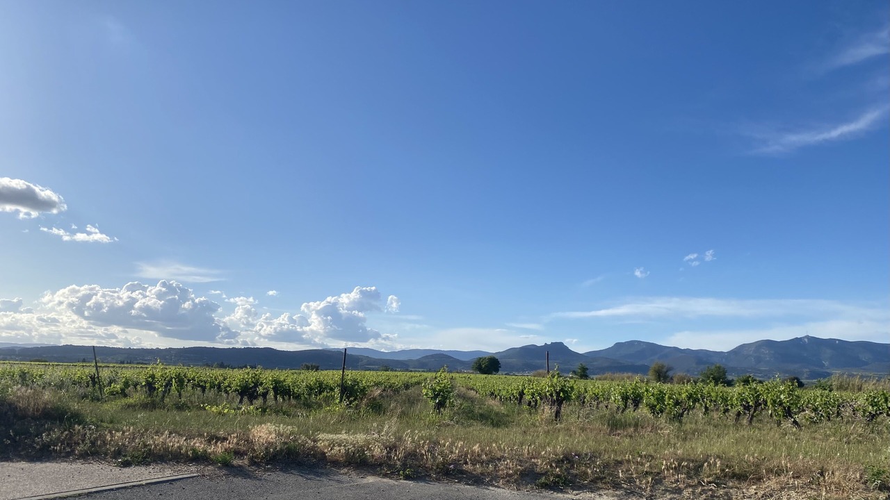 Photo of Outdoor in Saint-Andre-de-Sangonis