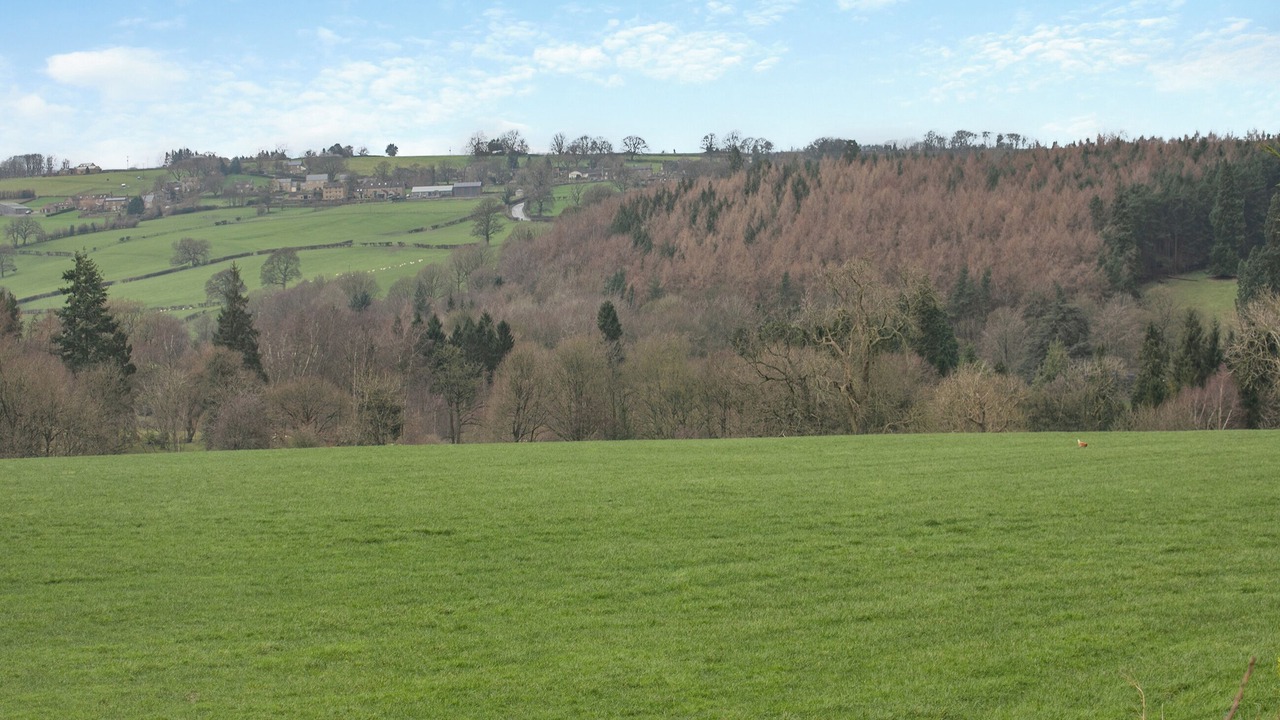 Photo of Others in Ripon