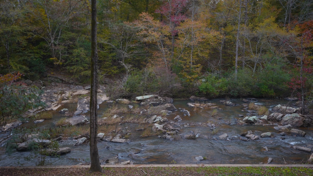 Photo of Outdoor in Lee County