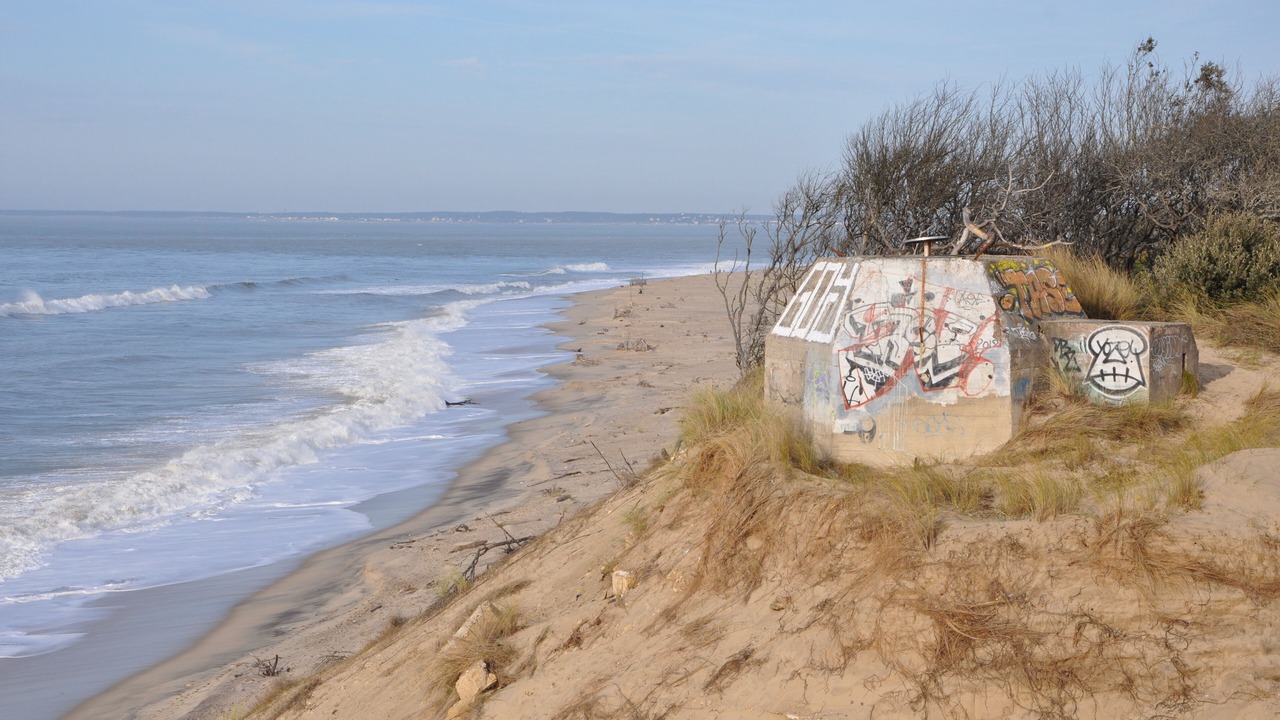 Photo of Others in Saint-Vivien-de-Medoc