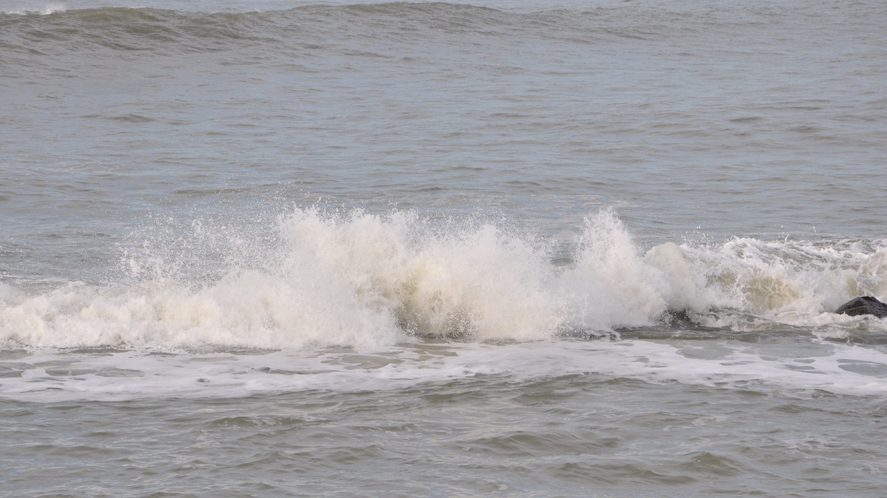 Photo of Others in Saint-Vivien-de-Medoc