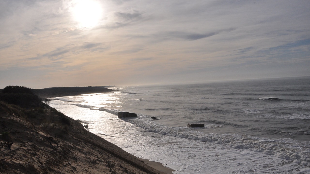 Photo of Others in Saint-Vivien-de-Medoc