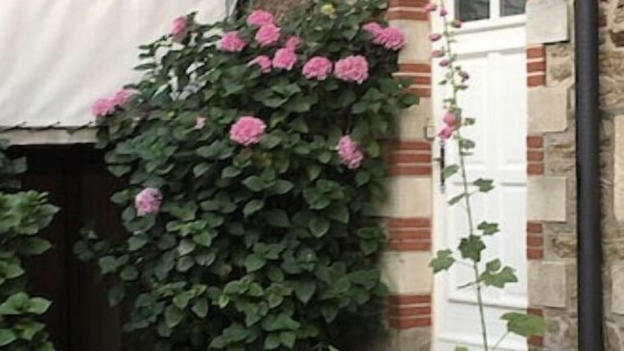 Photo of Outdoor in La Baule-Escoublac
