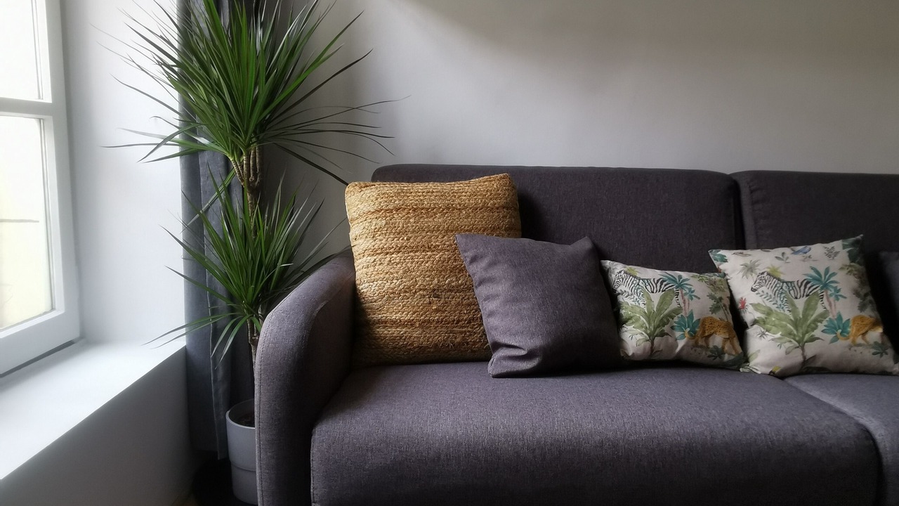 Photo of Livingroom in Saint-Germain-en-Laye