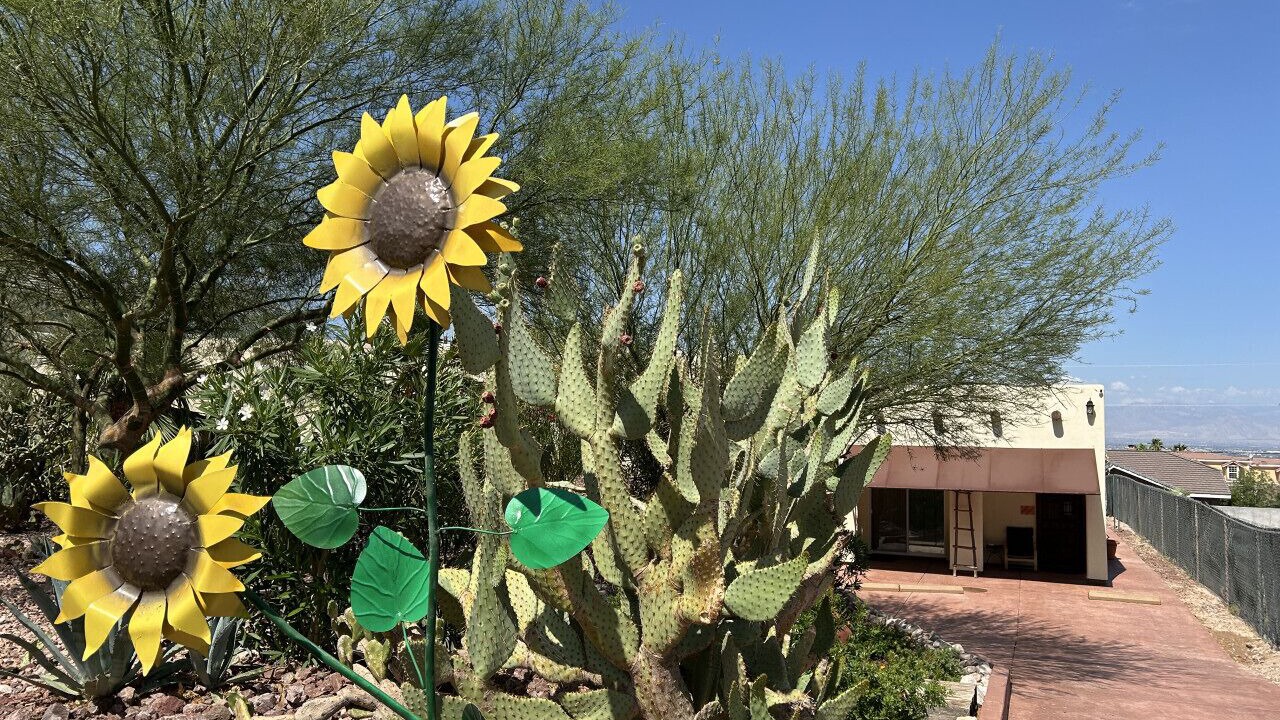 Photo of Outdoor in Sunrise Manor