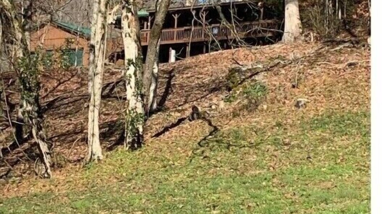 Photo of Outdoor in Tazewell