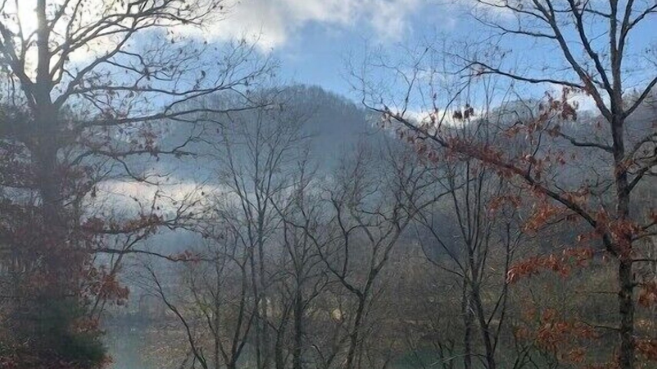 Photo of Outdoor in Tazewell