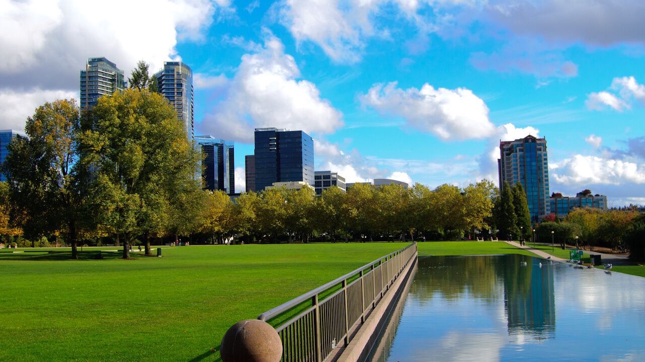 Photo of Others in West Bellevue