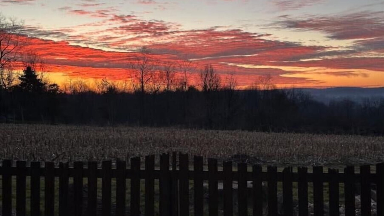 Photo of Bedroom in Conestoga