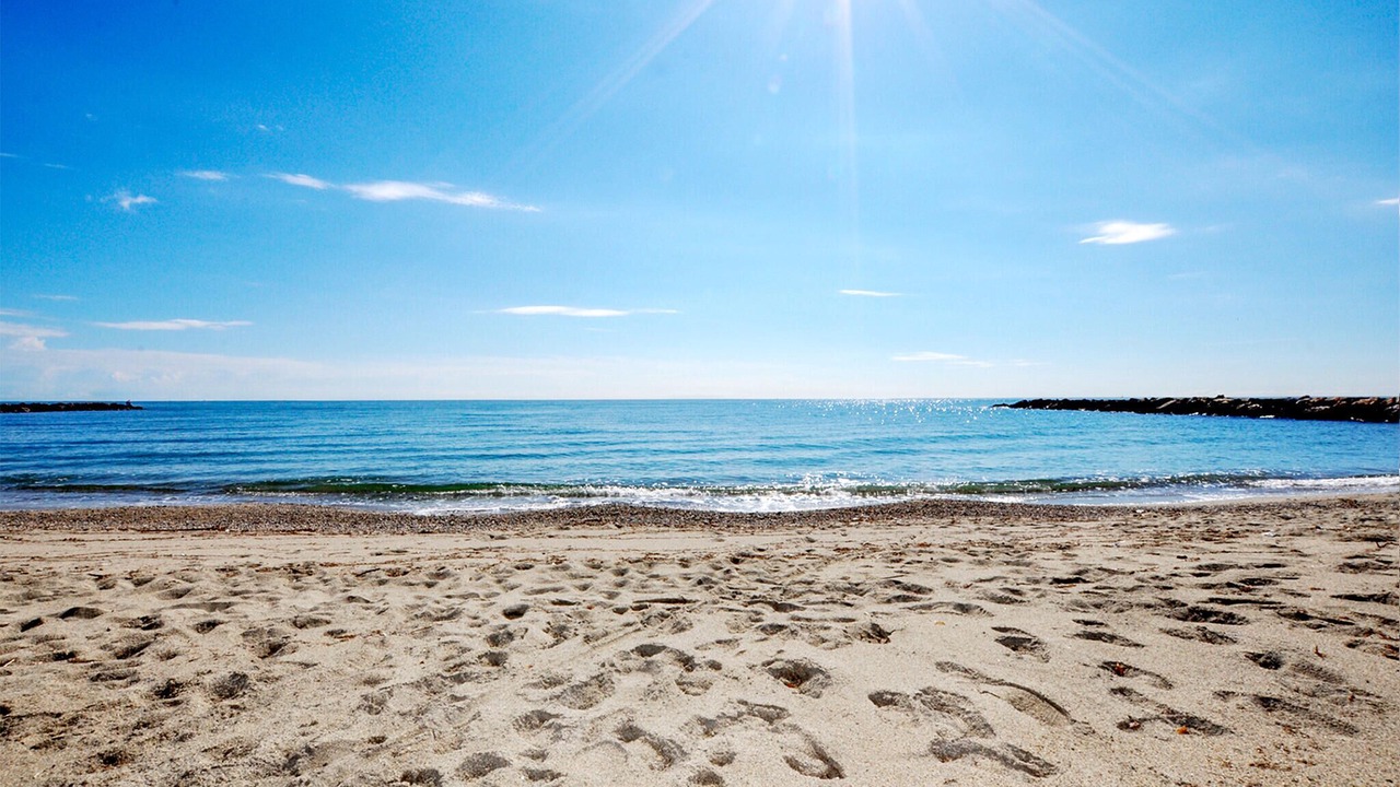 Photo of Others in Villelongue-de-la-Salanque