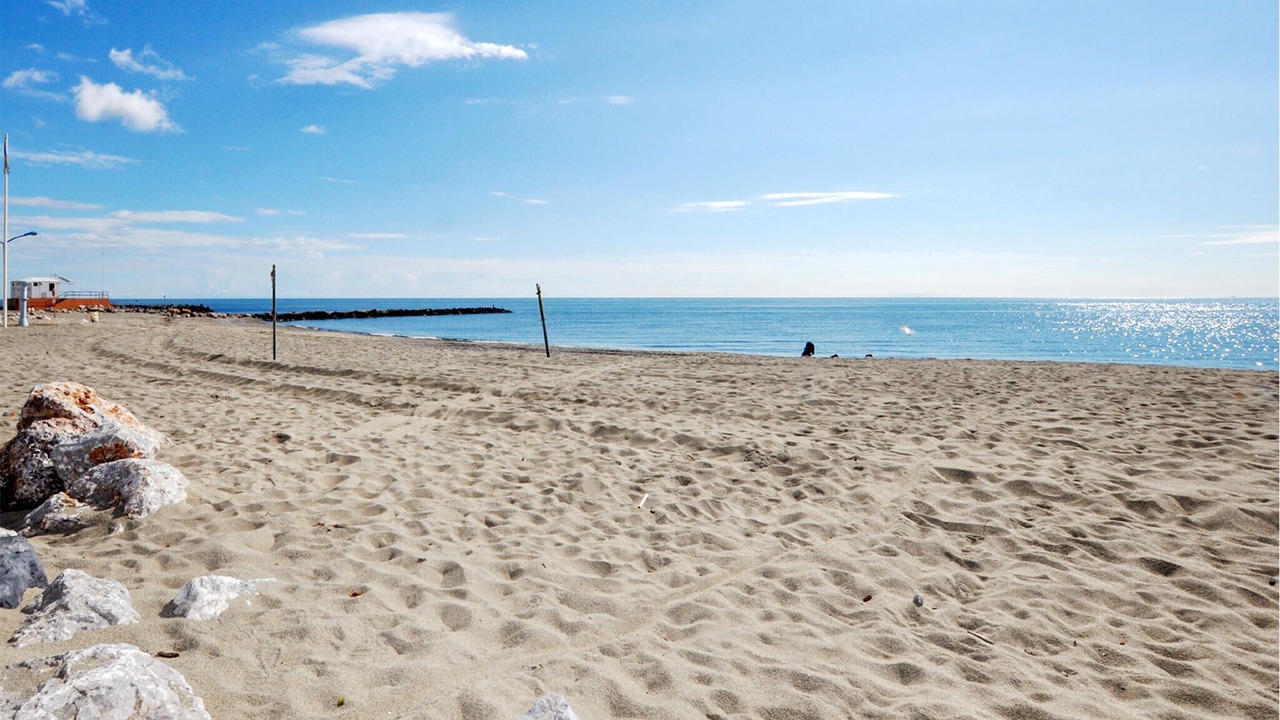 Photo of Others in Villelongue-de-la-Salanque