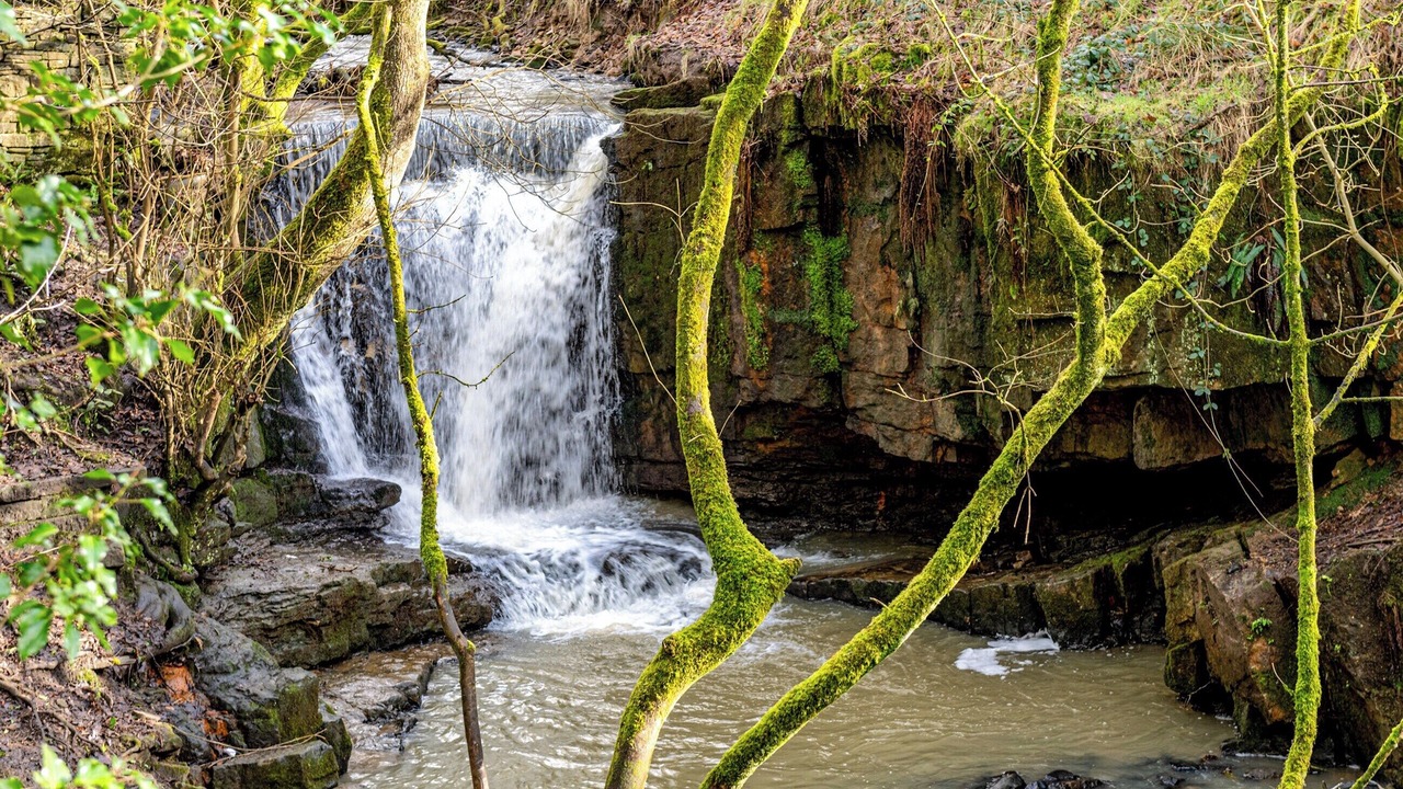 Photo of Others in Edenfield