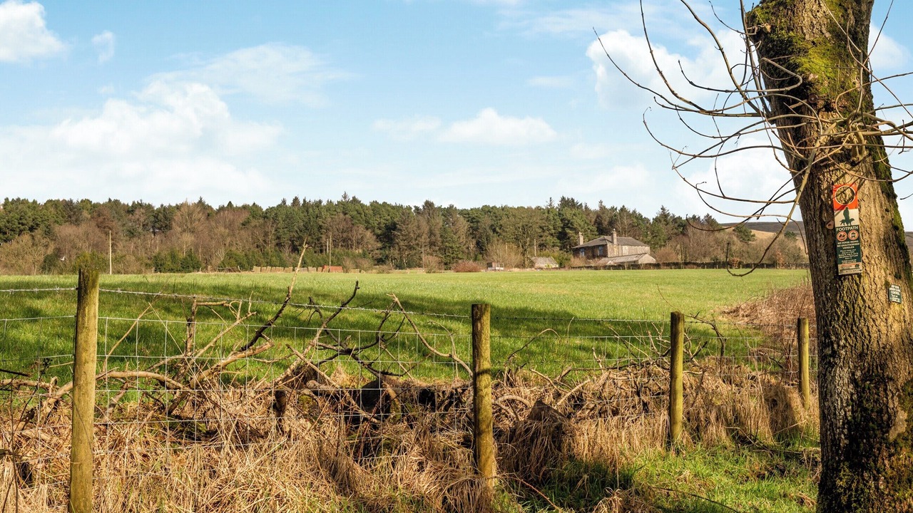 Photo of Others in Edenfield