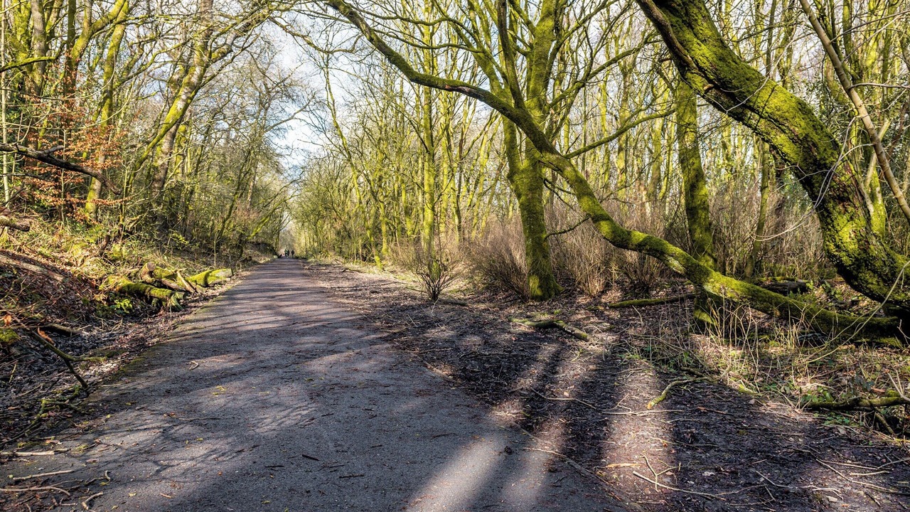 Photo of Others in Edenfield