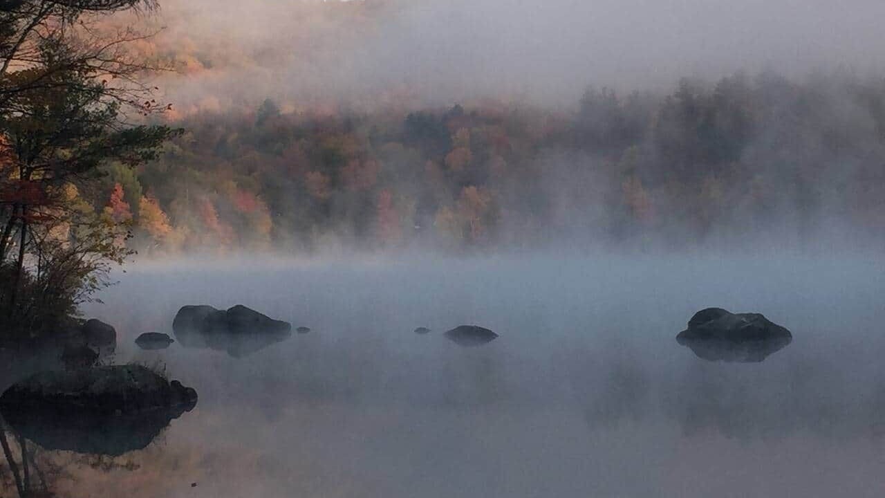 Photo of Others in Woodstock